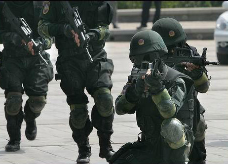 Тактические учения команды коммандос «Снежный волк» вооруженной полиции Пекина